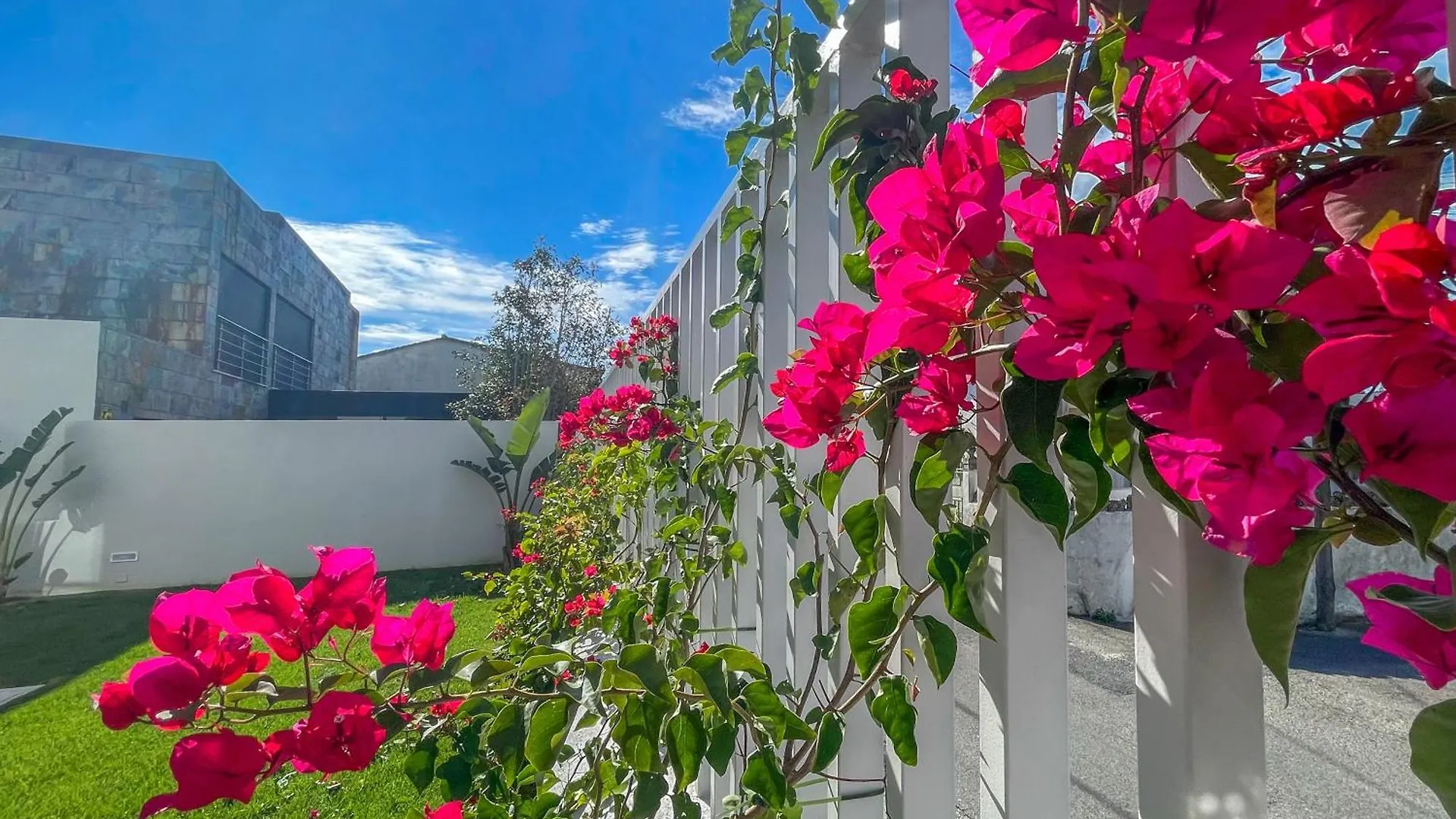 Sintra Dream Garden Villa